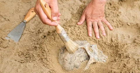 student participating at an anthropology dig site