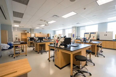 Biology Classroom