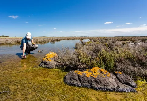 Geography & Environmental Studies students in the field