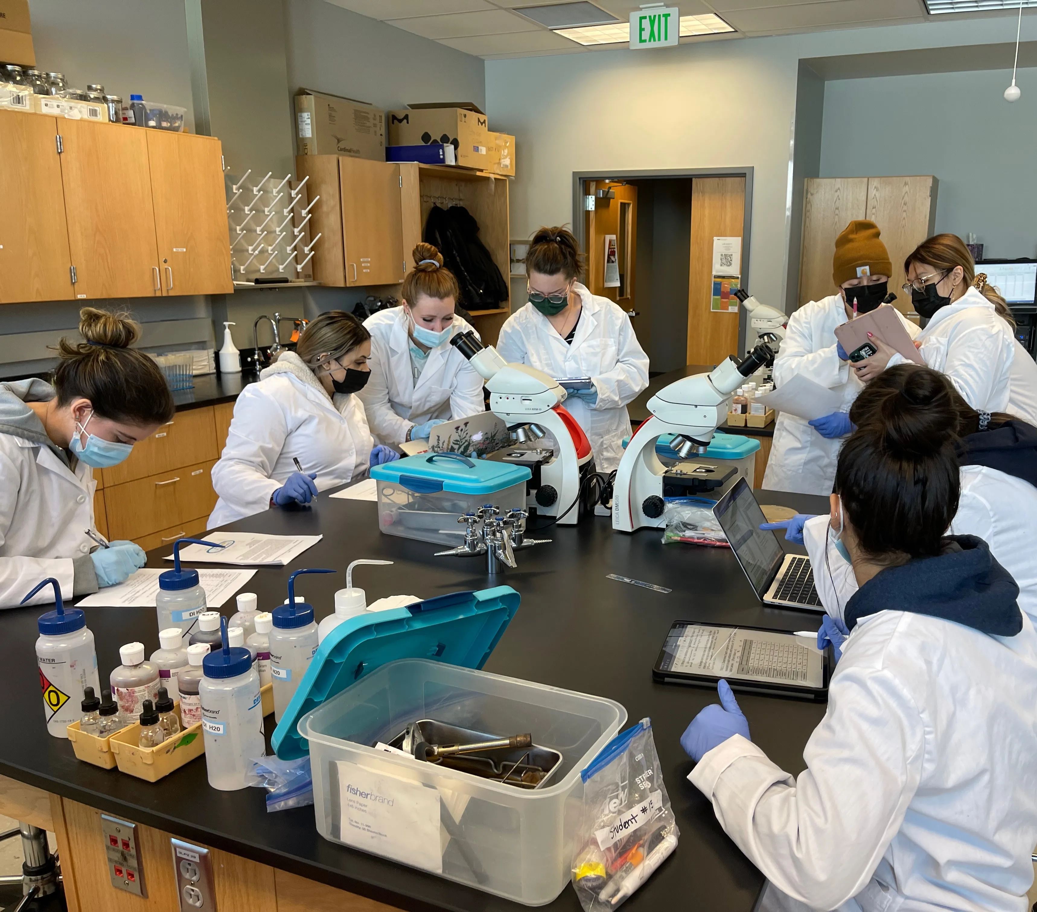 students working together in a biology lab